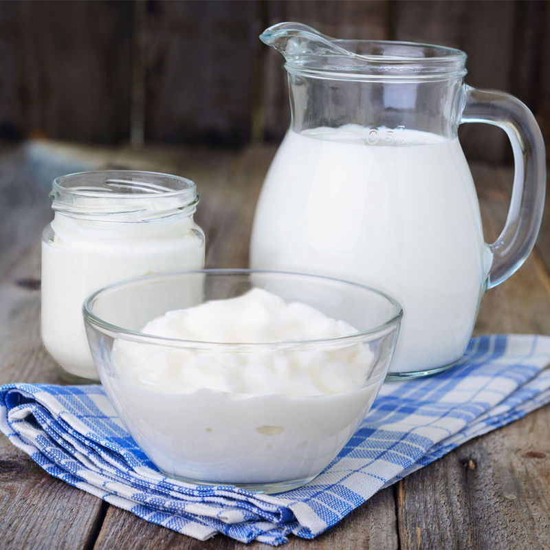 My.Yo Joghurtferment Mild