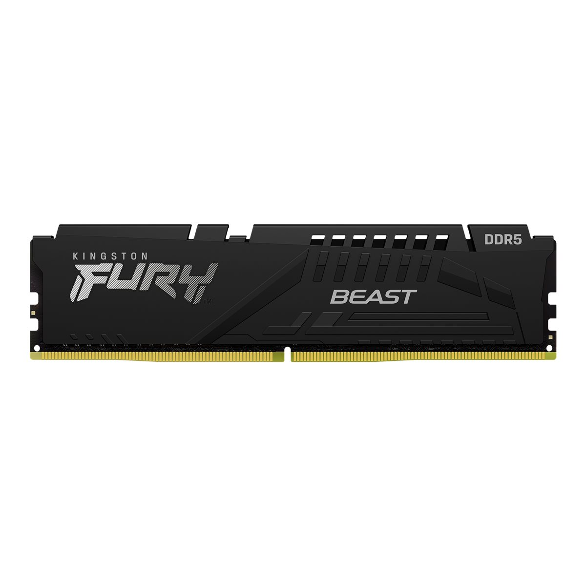 Kingston FURY Beast DDR5-5200 32GB DIMM CL36 Arbeitsspeicher schwarz