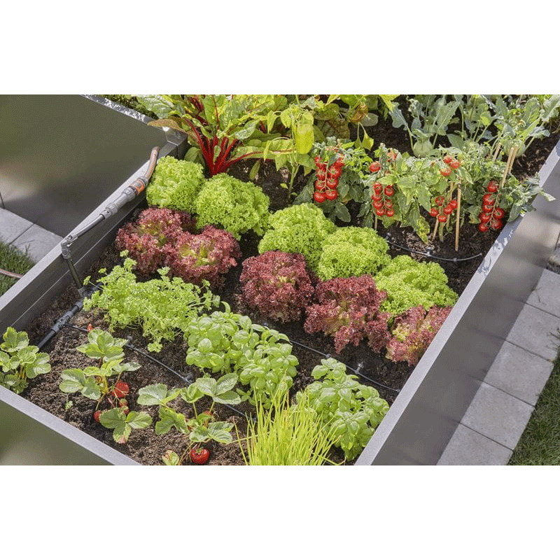 GARDENA 13455-20 Micro-Drip-System Tropfbewässerung Set Hochbeet/Beet (35 Pflanzen)