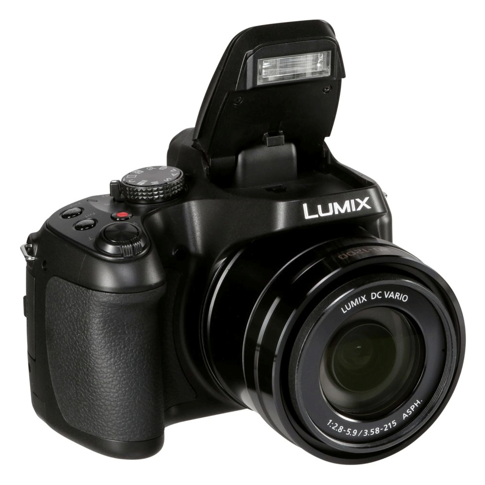 Panasonic Lumix DC-FZ82DE-K Bridgekamera schwarz