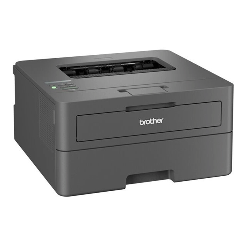 Brother HL-L2400DW Laserdrucker