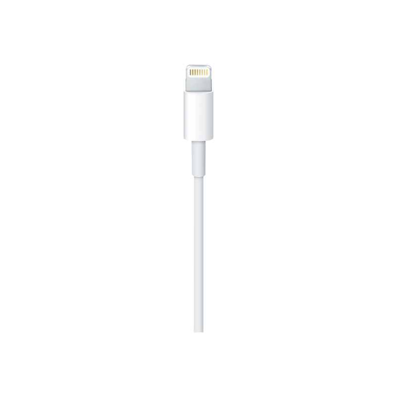 Apple Lightning to USB Cable 1m (MD818ZM/A)
