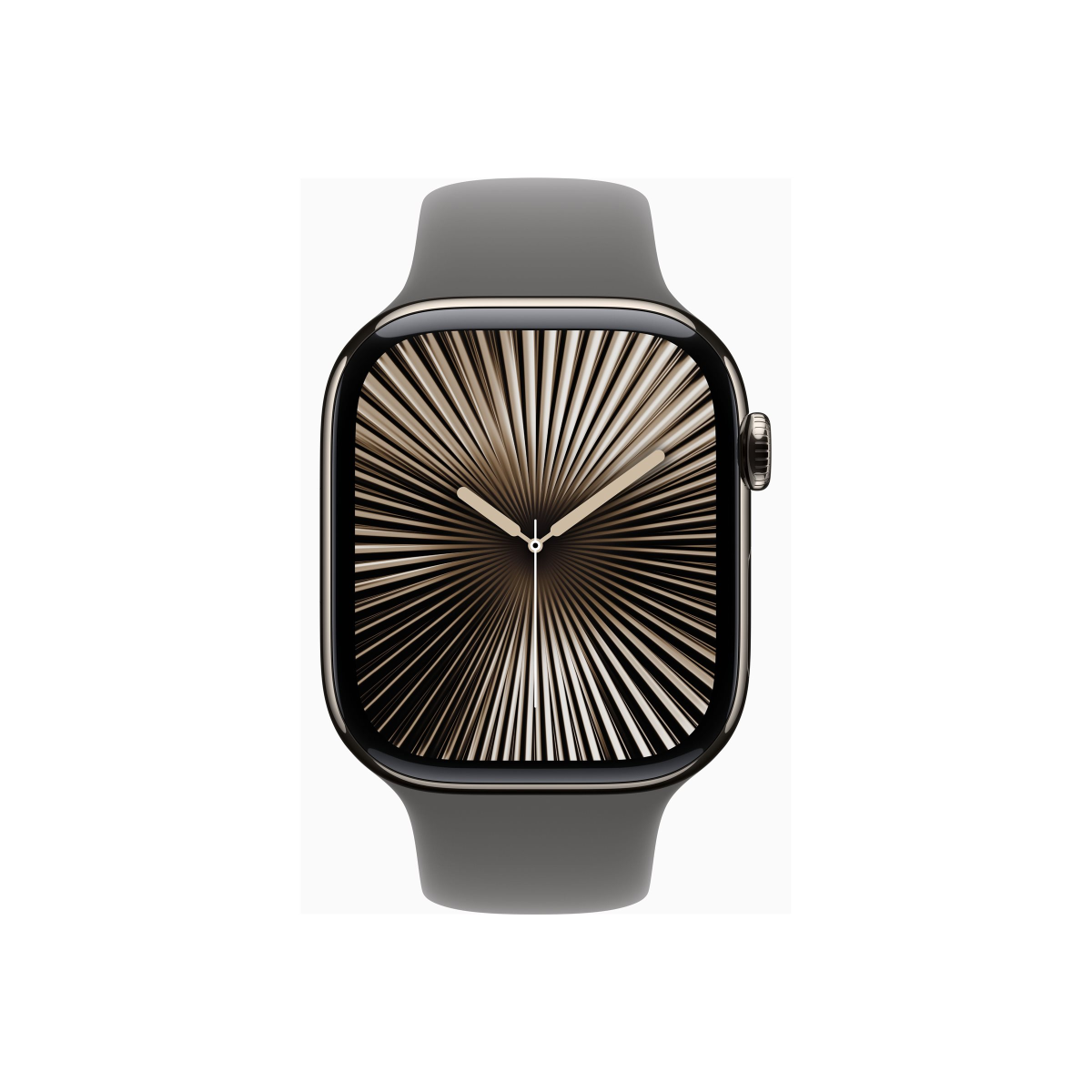 Apple Watch Series 10 4G 46mm Titan Natur Sportarmband Steingrau M/L