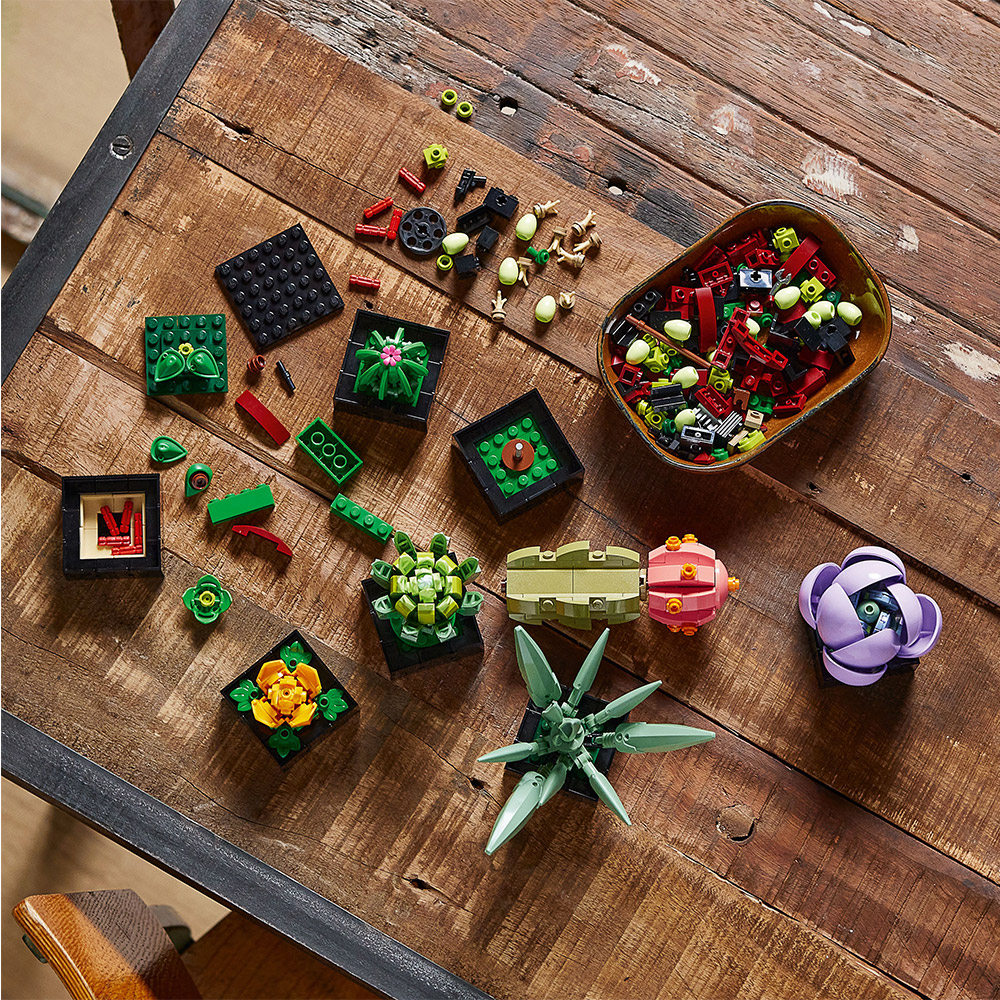LEGO Botanical Collection - Sukkulenten (10309)