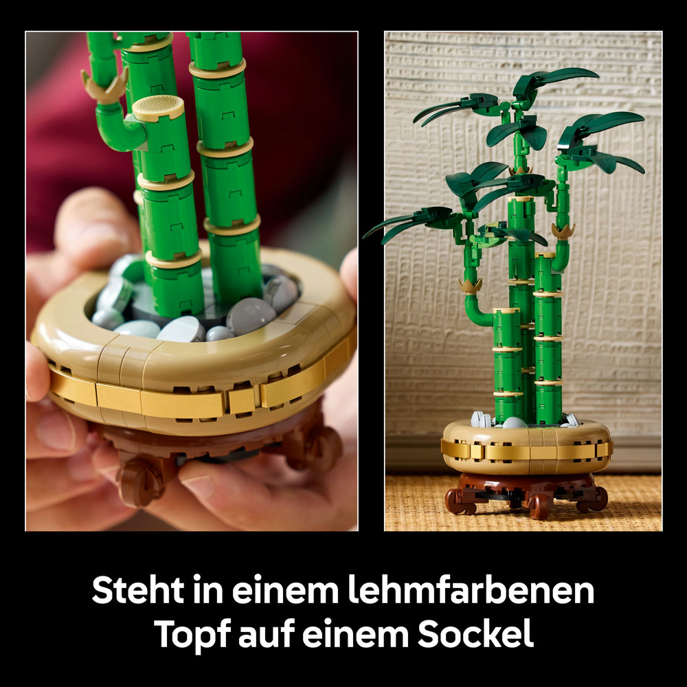 LEGO Botanical Collection - Glücks-Bambus (10344)