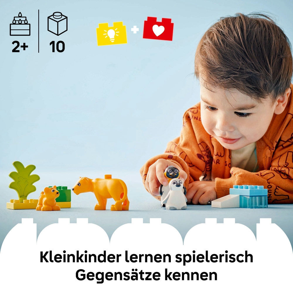 LEGO Duplo - Wildtier-Familien: Pinguine und Löwen (10442)