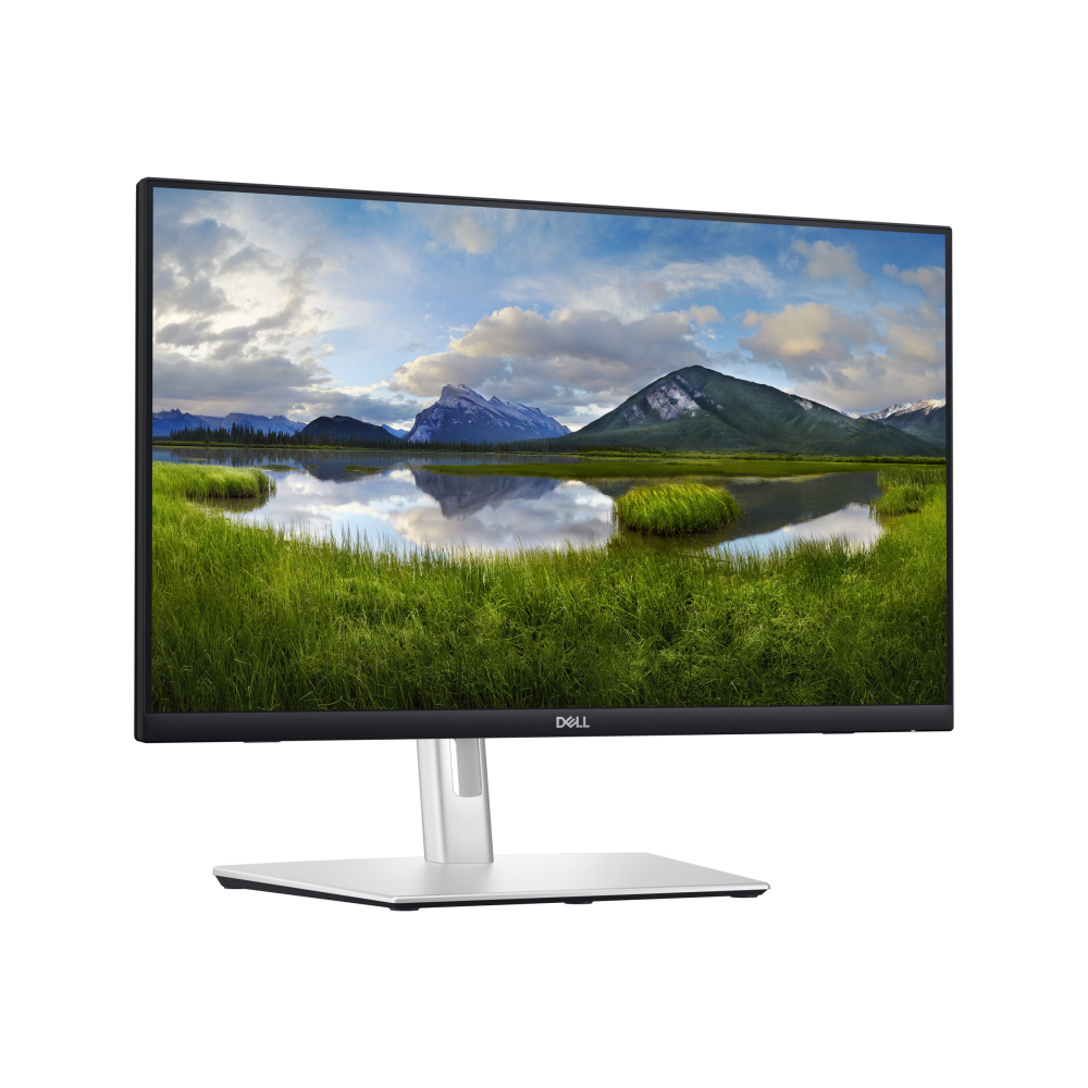 Dell P2424HT 61 cm (24 Zoll) LED-Monitor