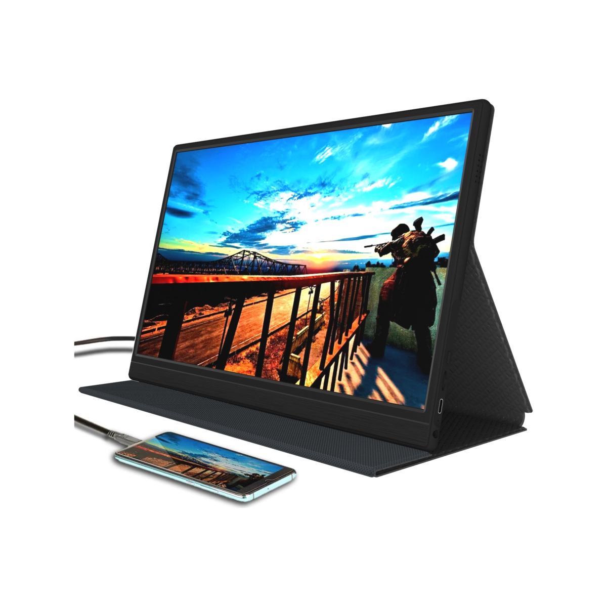 Denver PMO-15601 39.6 cm (15.6 Zoll) tragbarer LED-Monitor (2.Wahl)