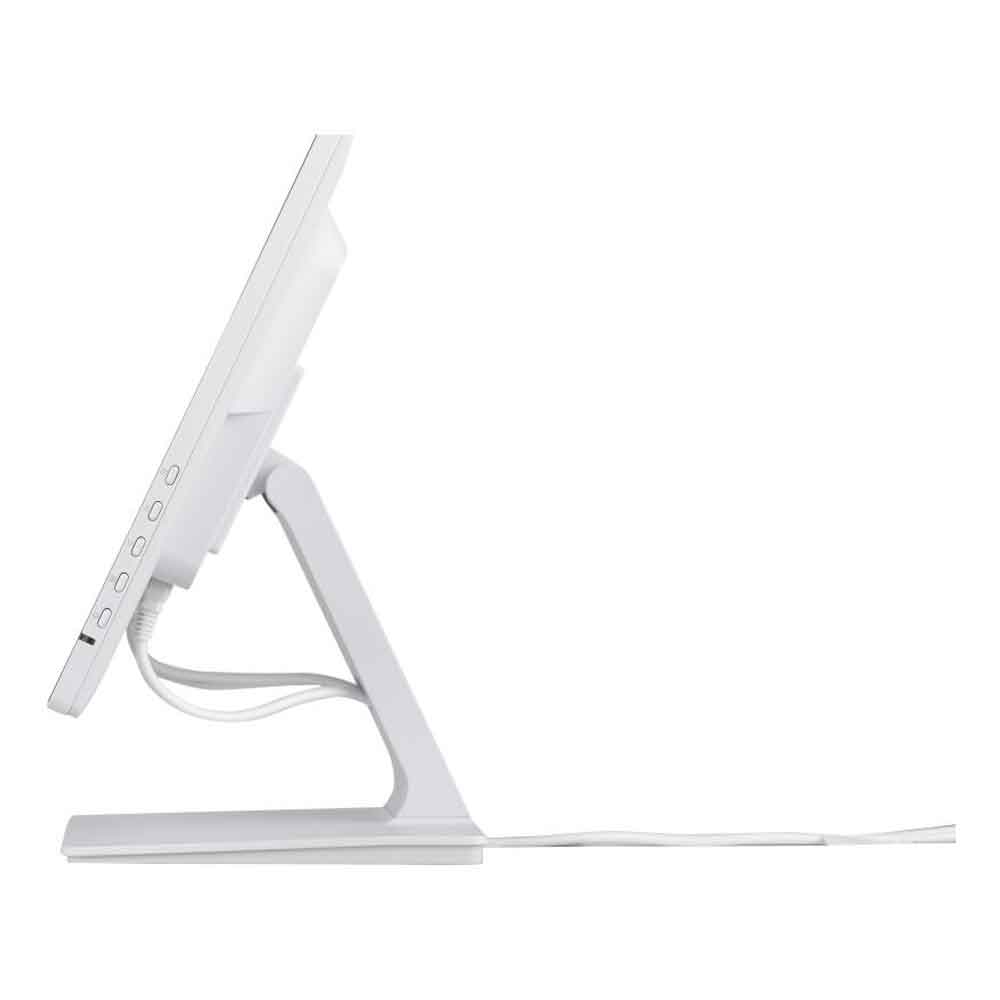 Iiyama ProLite T2452MSC-W1 60.5cm (23.8 Zoll) Touch-Monitor