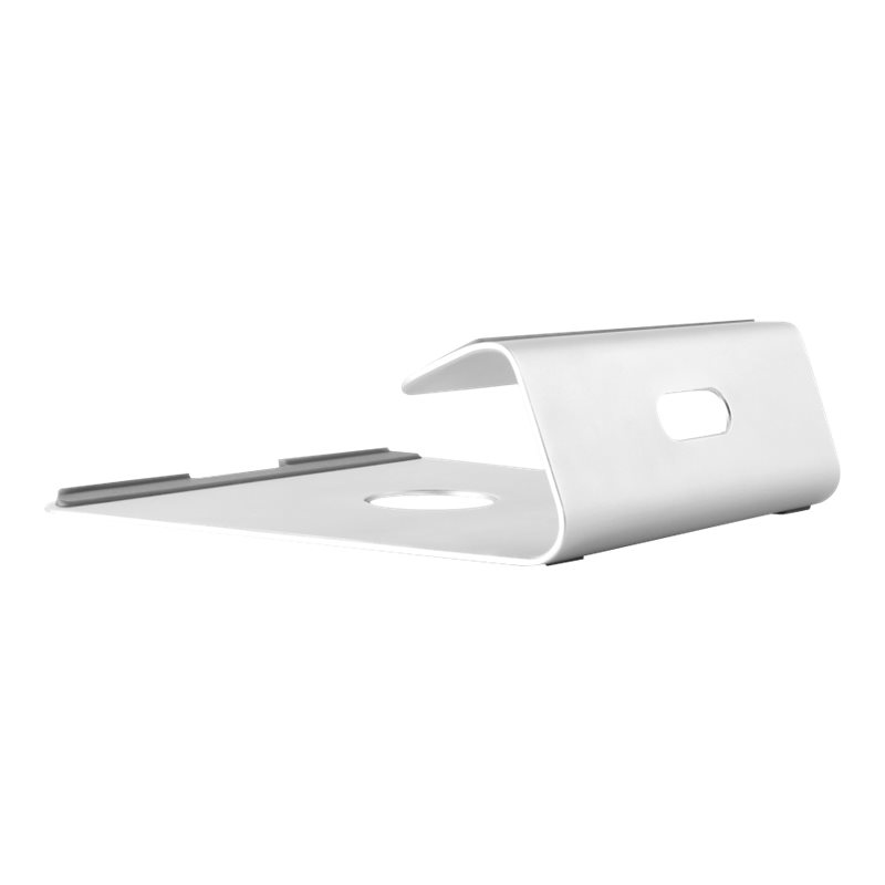 Neomounts by NewStar Notebook Desk Stand (NSLS025)