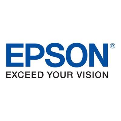Epson T6713 Wartungsbox