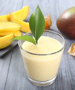 My.Yo Stromloser Joghurtbereiter Mint